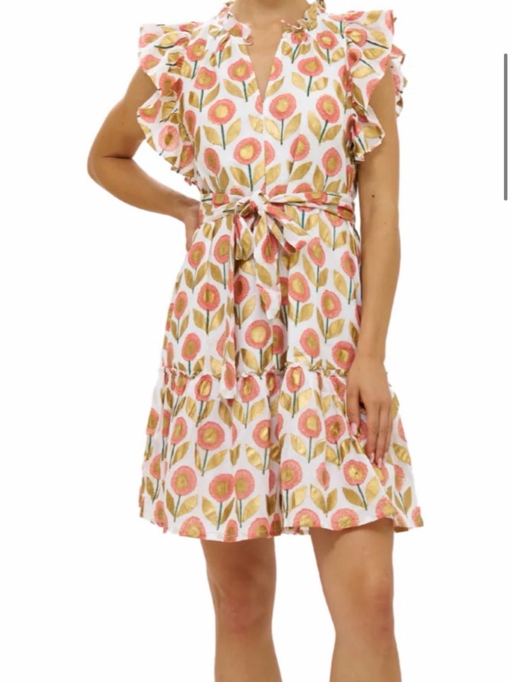 Oliphant Floral Tie-Waist Mini Dress - Orange, Green on Cream